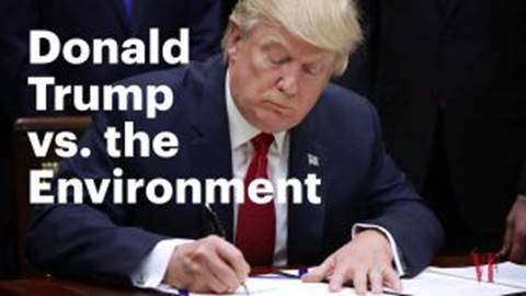 Image result for trump environment