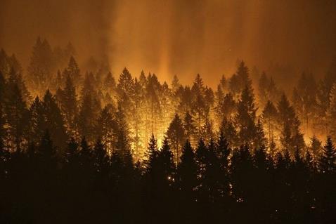 Image result for is oregon in fire season early