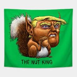 Image result for trump is nuts
