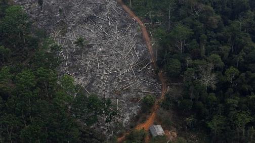 An aerial
            view of a deforested plot of the Amazon at the Bom Futuro
            National Forest in Porto Velho, Rondonia State, Brazil,
            September 3, 2015